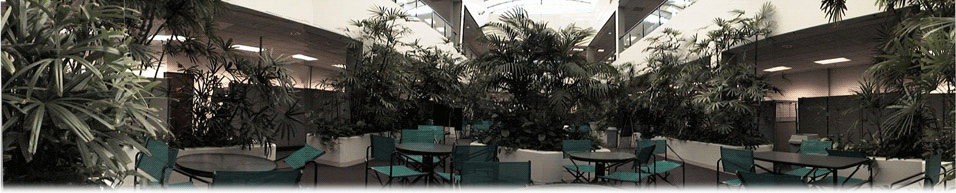 Palm Atrium