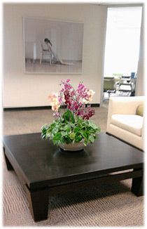 Orchid Arrangements Rentals Plantman