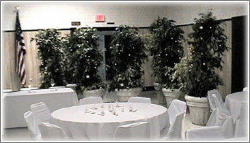 rental ficus image